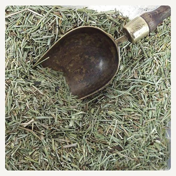 Cola de Caballo