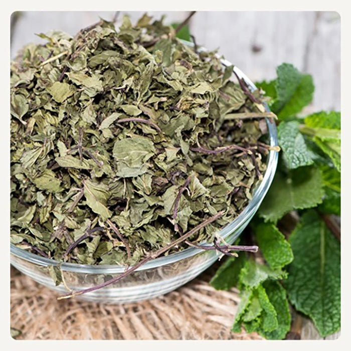 Menta