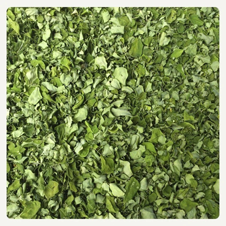 Moringa