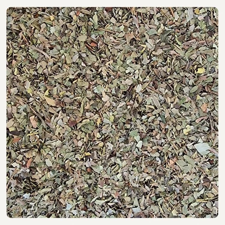 Hojas de Guayaba