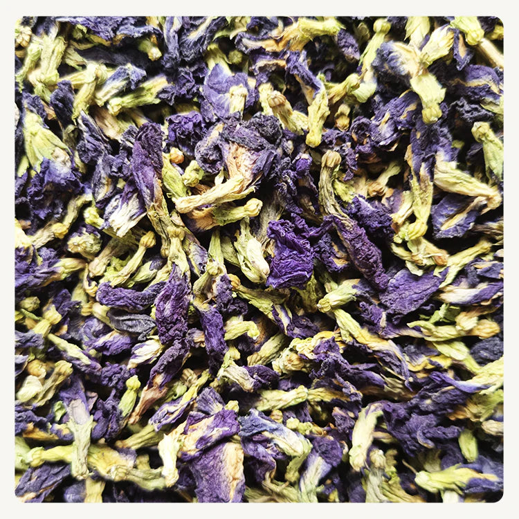 Butterfly Pea / Flor de Guisante de Mariposa / Té Magico