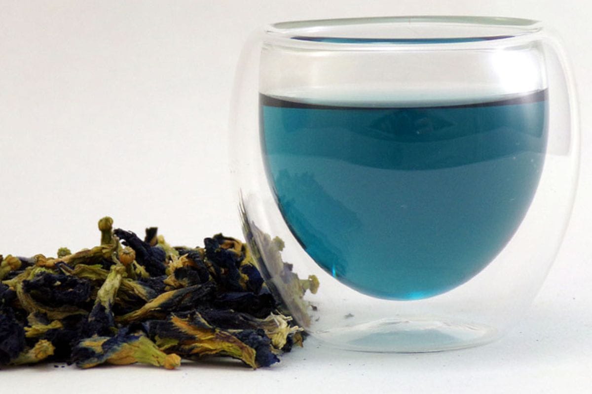 Butterfly Pea / Flor de Guisante de Mariposa / Té Magico