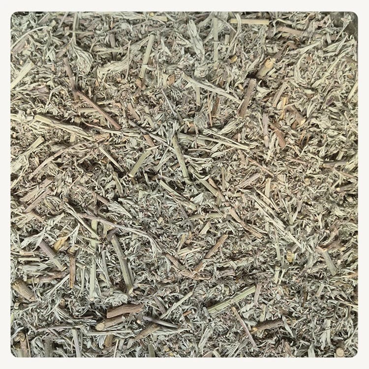 Ajenjo Amargo / Artemisa Absinthium