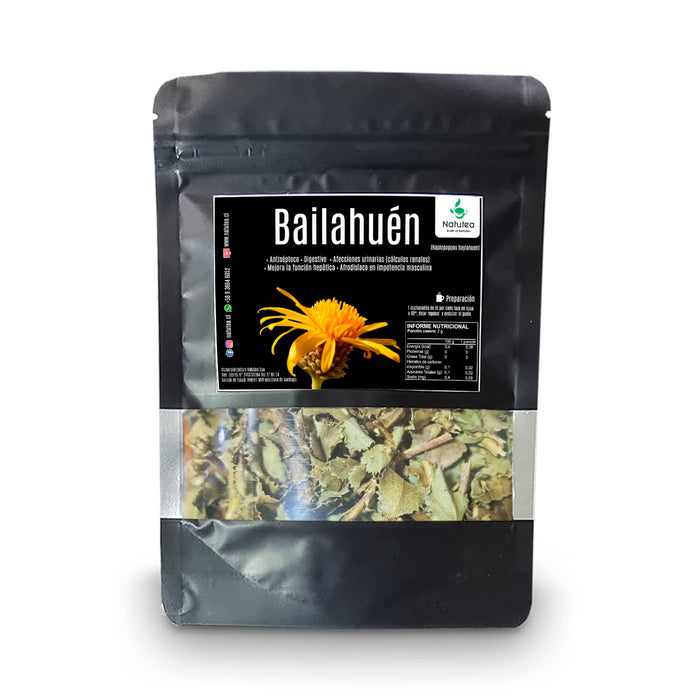 Bailahuén