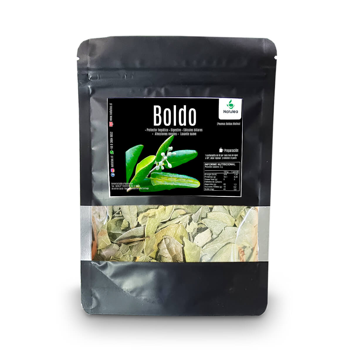 Hojas de Boldo