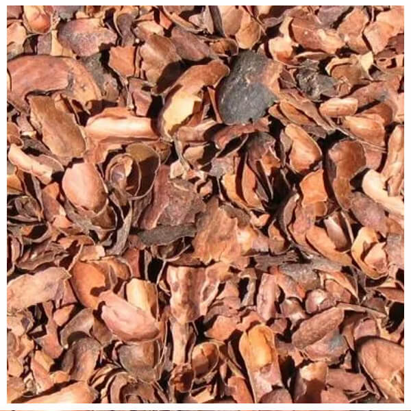 Cascarilla de Cacao