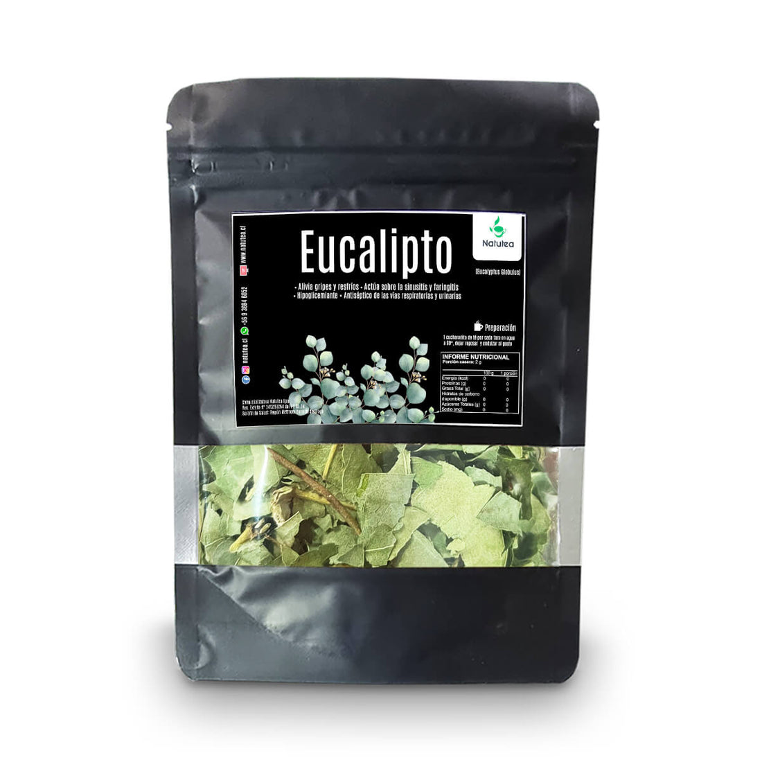 Eucalipto