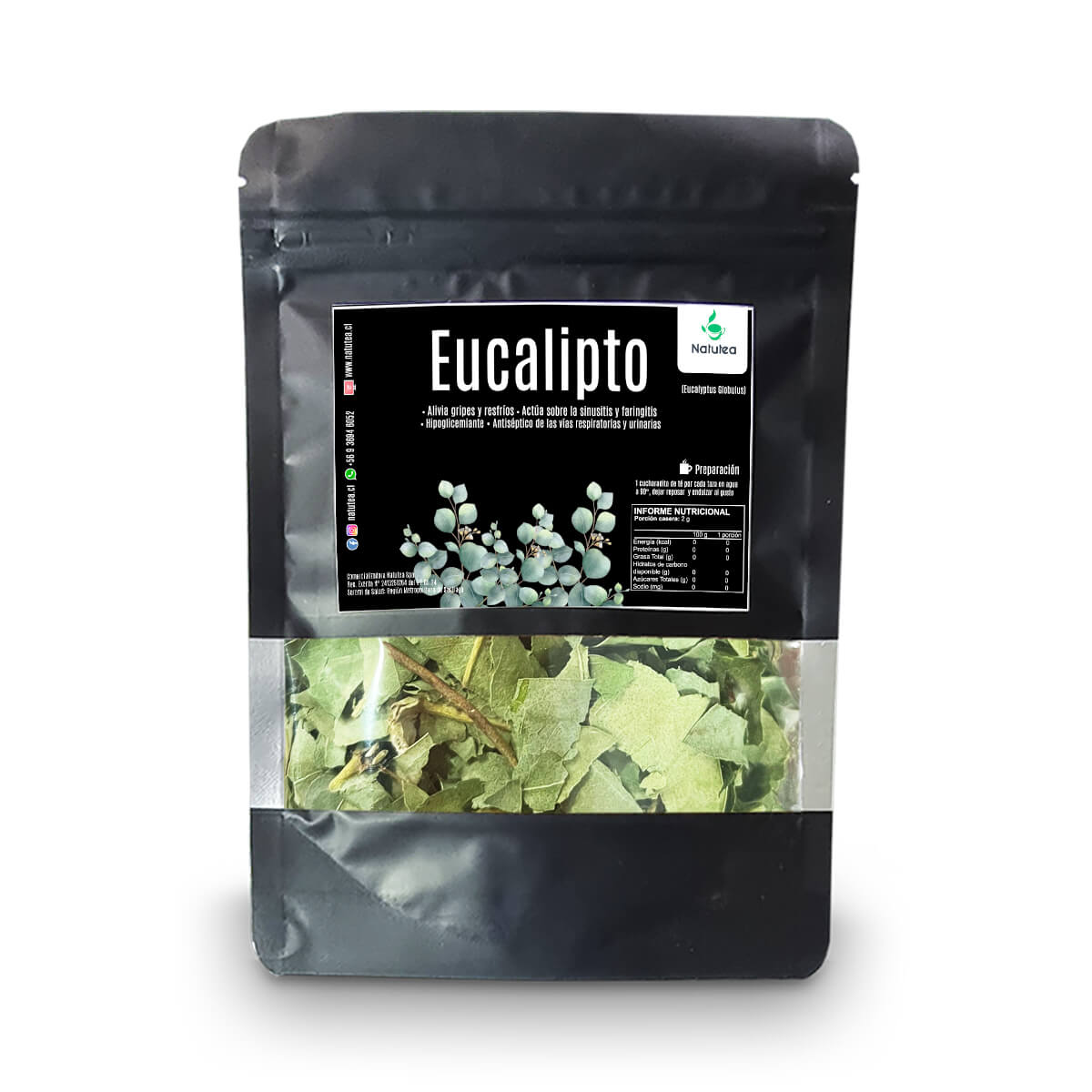 Eucalipto