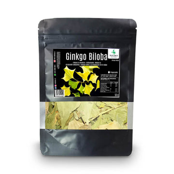 Ginkgo Biloba Hojas
