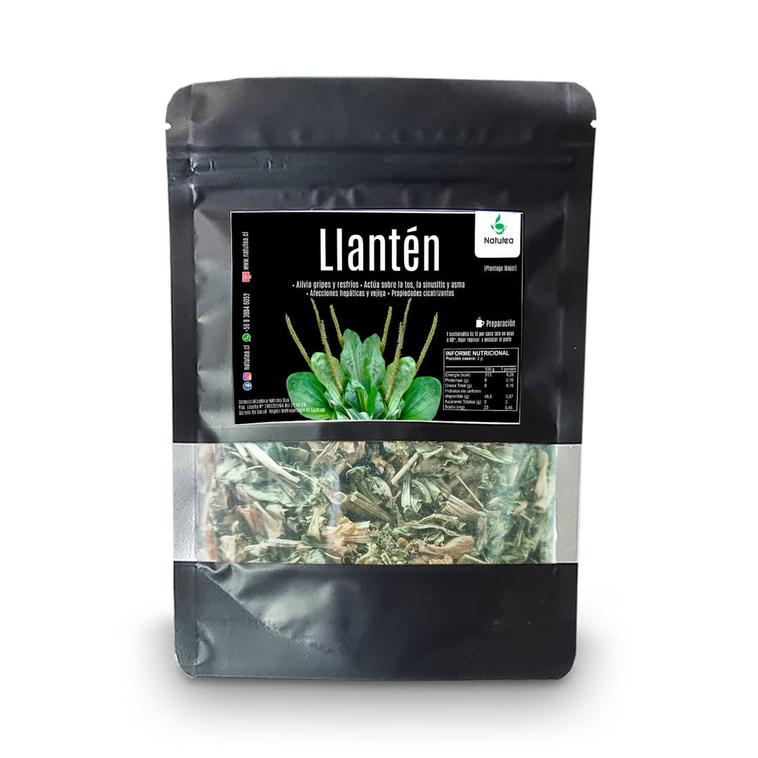 Llantén