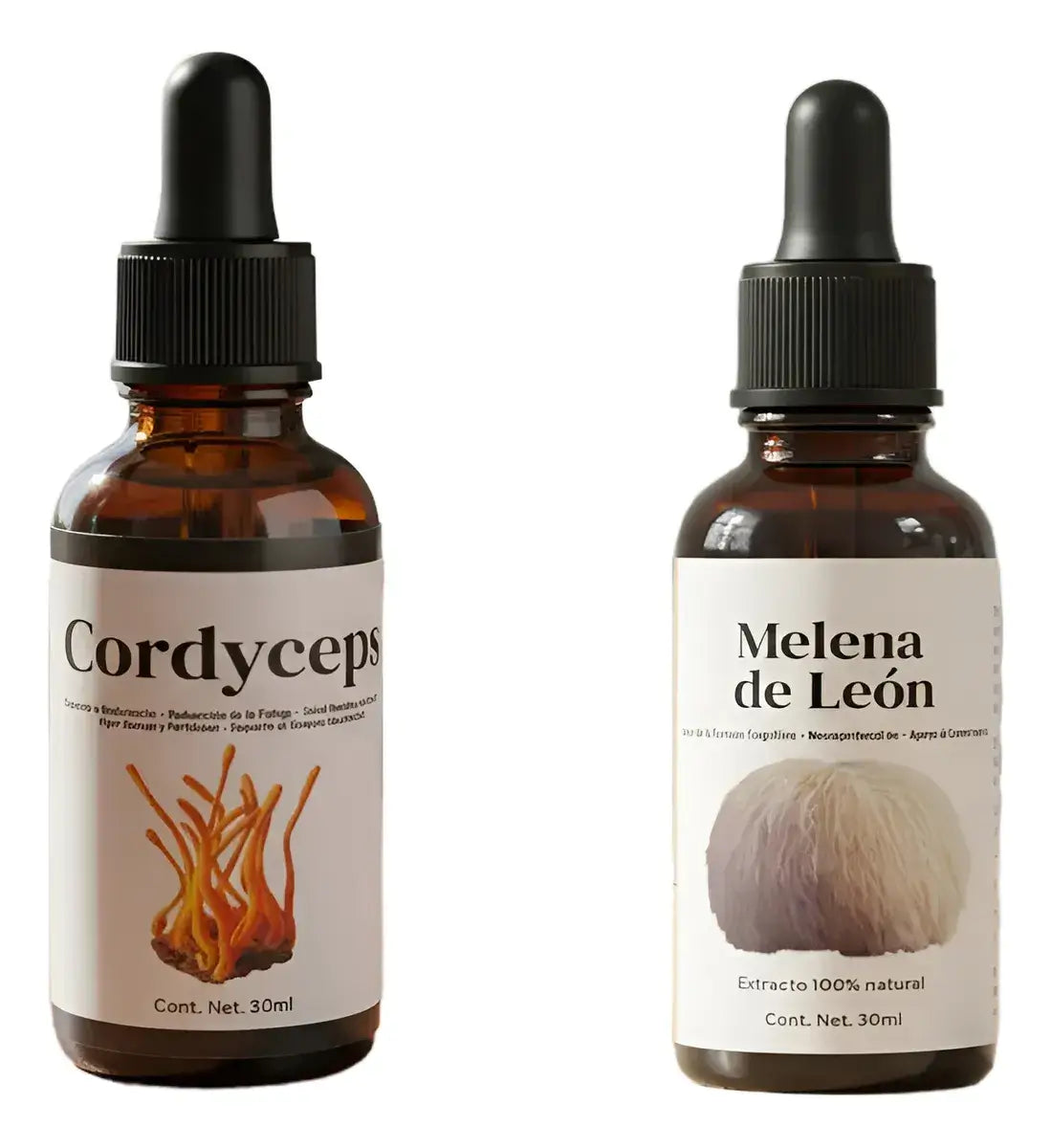 Pack De Melena De León Y Cordyceps
