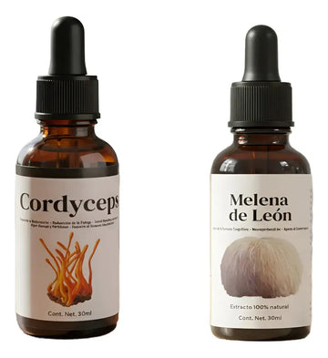 Pack De Melena De León Y Cordyceps