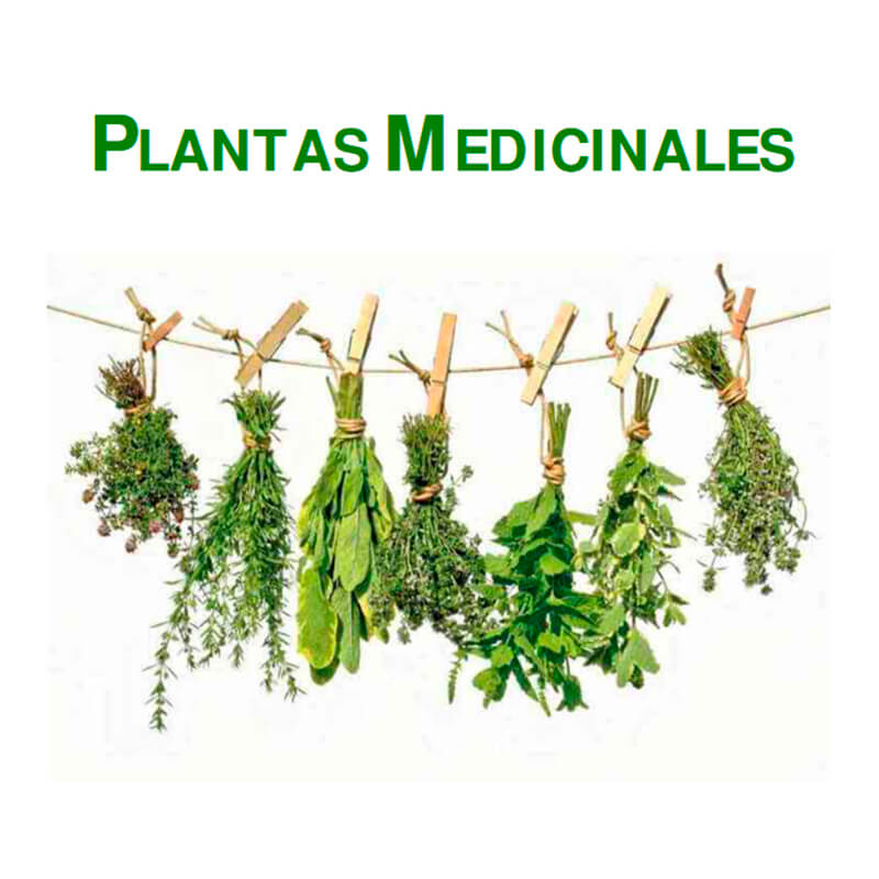 Libro de las Plantas Medicinales (Digital)