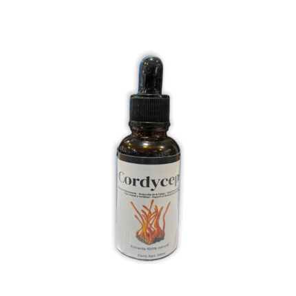 cordyceps - hongo comestible - hongo energizante